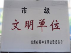 喜訊！公司榮獲“市級(jí)文明單位”稱號(hào)